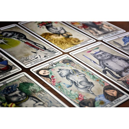 Gatos de Tarô de Ana Juan - Fournier - 78 cartas coloridas e livreto de instruções