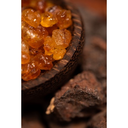 Natural Myrrh and Frankincense Holy Mother Peace Interior - Sahumerio 8 thick sticks Organic