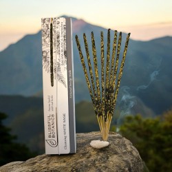 Ekologisk Vit Salvia Rökelse Blissful Botanics TULASI Natural Artisan - Cleansing Sage - 8 ekologiska rökelsepinnar