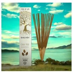 Encens Arbre Ceiba BANJARA Arbre de Vie Botanique - Boîte de 15gr. d’Encens Masala