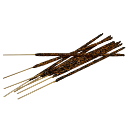 Blissful Botanics TULASI Artisan Natural Zimt Bio Räucherstäbchen - Würziger Zimt - 8 Bio Räucherstäbchen