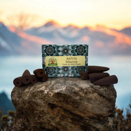 Conos de Reflujo Salvia Blanca NAMASTE INDIA - 10 conos de incienso blackflow