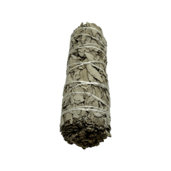 100% Original California White Sage XL Orgânico & Sustentável Bundle | Purificação, Limpeza Energética & Harmonia | 15cm