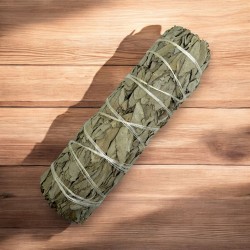 Pachet 100% original California White Sage XL organic și durabil | Purificare, curățare energetică și armonie | 15 cm