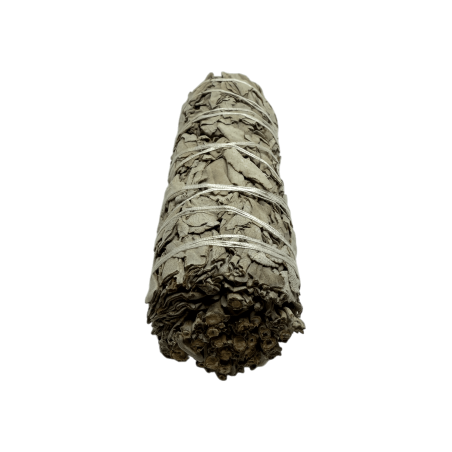 Lligat Salvia Blanca de Califòrnia XL Ecològic i Sostenible 100% Original | Purificació, Neteja Energètica i Harmonia | 15cm