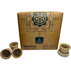 Vit salvia, hartskoppar, örtkrukor, energiska...
