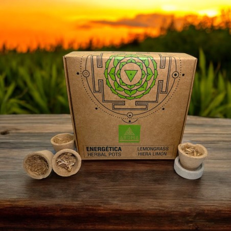 Căni din rășină cu lemongrass, ghivece cu plante AROMA , parfumuri energizante - 4 căni și suport pentru arzător - curățare