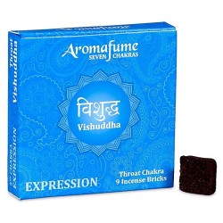 5ème Chakra Vishuddha Briques Chakra de la...