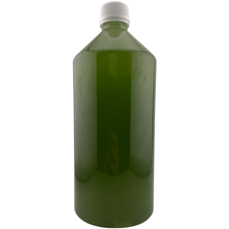 Powerful Rue Irrigation Esoteric Floor Cleaner - 1 liter.
