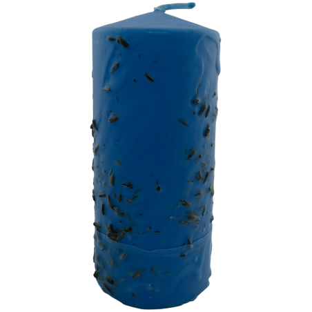 Candela alle erbe per la salute - Candela esoterica 14x6cm - Curativa
