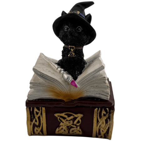 Wicca Cat Witch Resin Figurine in Box - 7x5.5x11cm