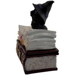 Wicca Cat Witch Resin Figurine in Box - 7x5.5x11cm
