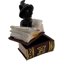 Wicca Cat Witch Resin Figurine in Box - 7x5.5x11cm