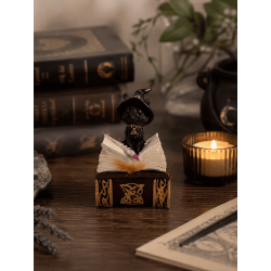 Wicca Cat Witch Resin Figurine in Box - 7x5.5x11cm
