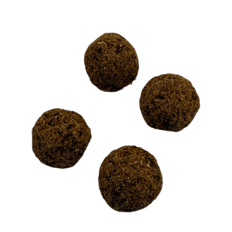 Bulbes d'encens Wild Craft Golden Nag Vijayshree Olibanum - 4 bulbes