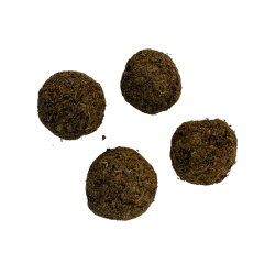 Hostenatura