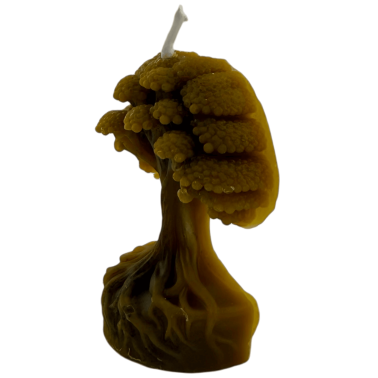 Hostenatura