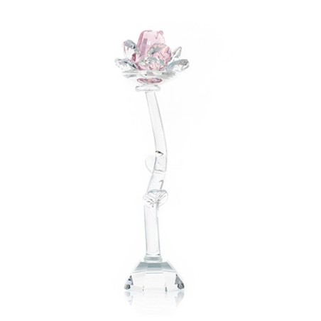 Rose Cristal - Rose