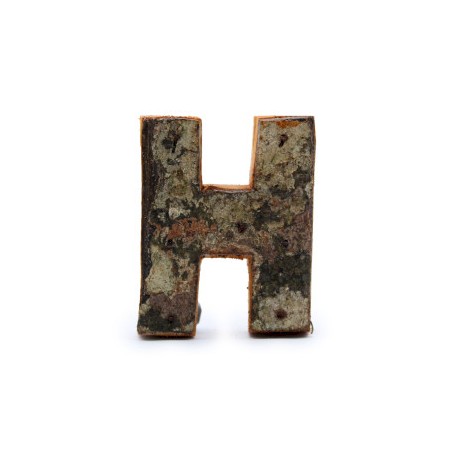 Lettre d’écorce rustique - «&nbsp;H&nbsp;» (12) - Petit 7cm