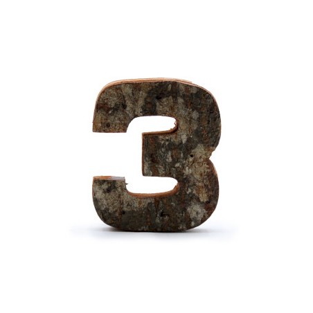 Rustic Bark Letter - "P" (12) - Small 7cm