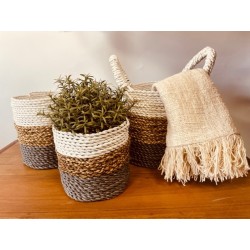 Ensemble de paniers d’algues - Gris / Naturel /...