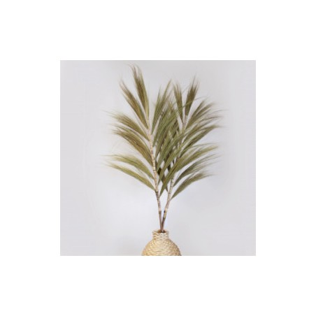 Natural Rayung Palm - 1.6m