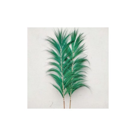 Palmier verde Rayung - 1.6m