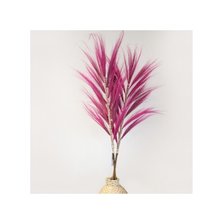 Rosa Rayung Palme - 1.6m