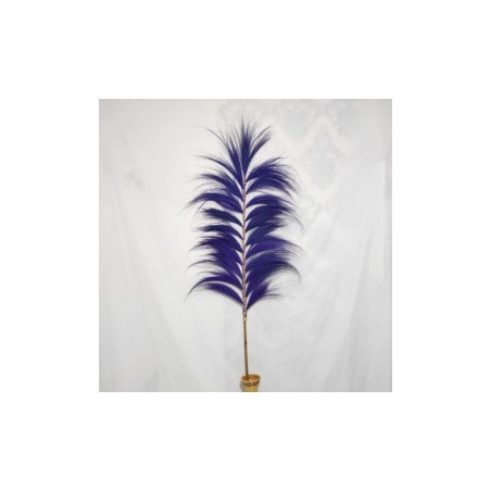 Rayung's Lavender Palm - 1.6m
