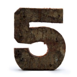 Écorce rustique numéro - «&nbsp;5&nbsp;» (12) - Petit 7cm