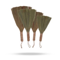 Set 4 - Escombra en Ventall de Pampes - Natural...