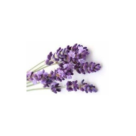 Lavanda - Azul -Aromaterapia Barra 2Kg