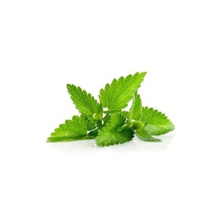 Menthe - vert clair -Barre d’aromathérapie 2Kg