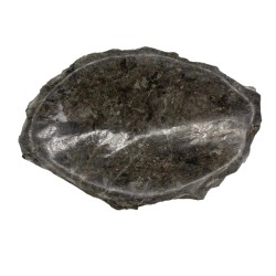 Hostenatura