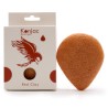 ESPONJAS KONJAC