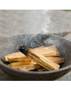 PALO-SANTO