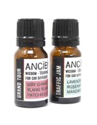 العلاج العطري لموزعي روائح السيارات